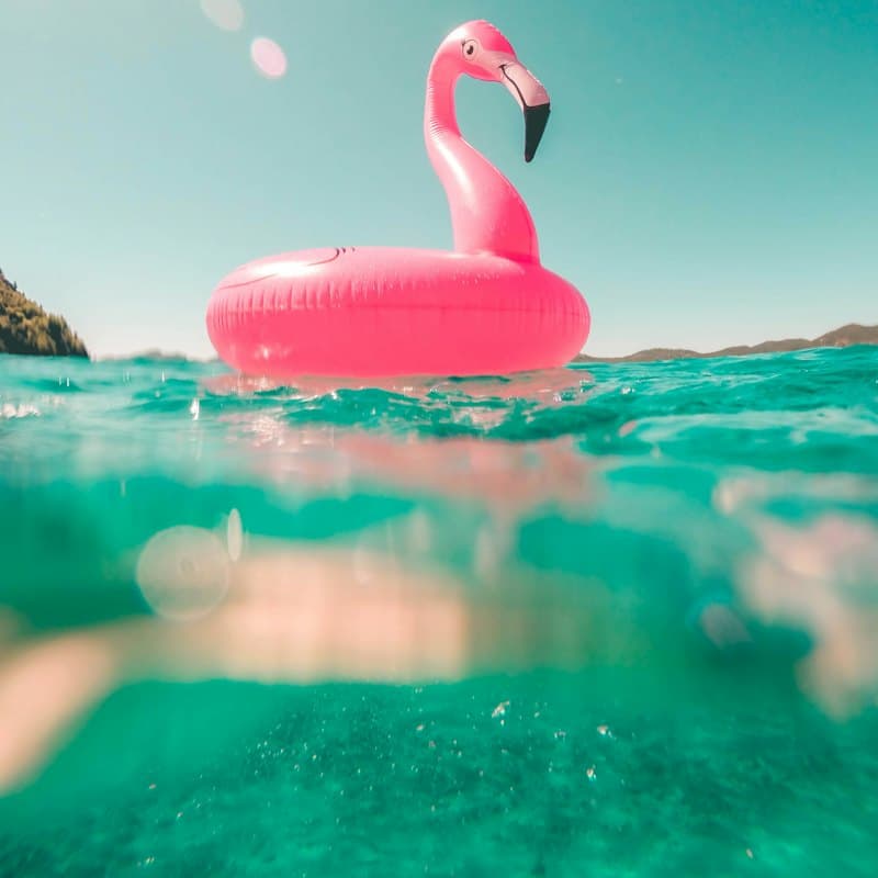 A pink flamingo pool float on the water
