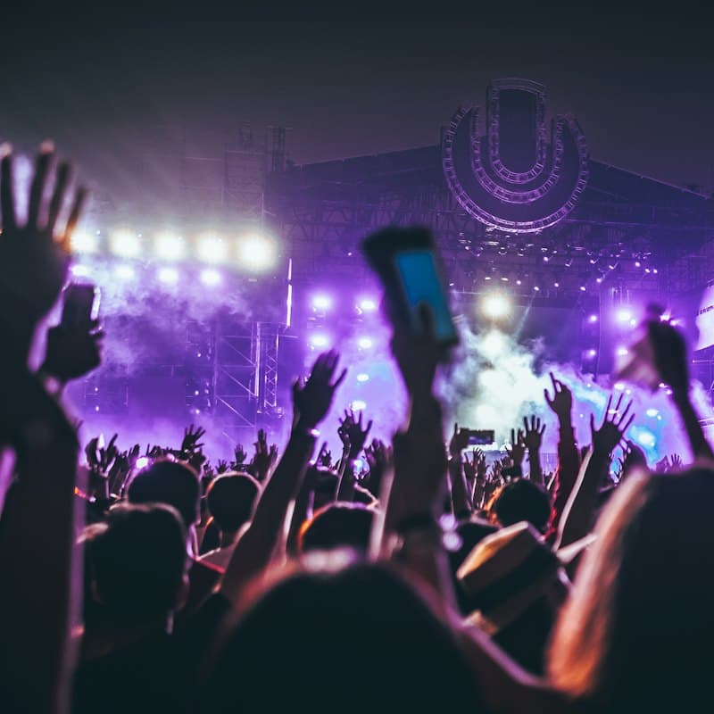 A festival crowd with their hands in the air