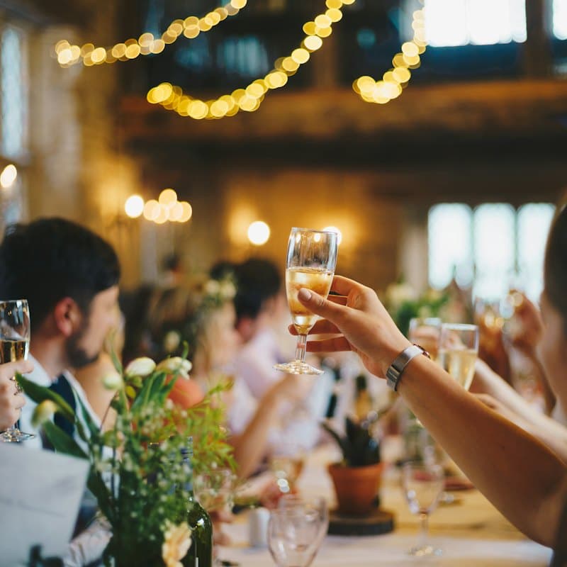 Guests raising their wine glasses